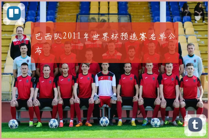 巴西队2011年世界杯预选赛名单公布