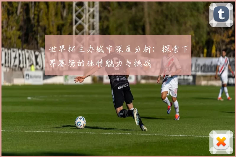 世界杯主办城市深度分析:探索下界赛场的独特魅力与挑战