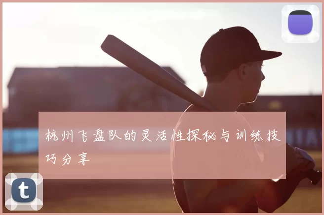杭州飞盘队的灵活性探秘与训练技巧分享