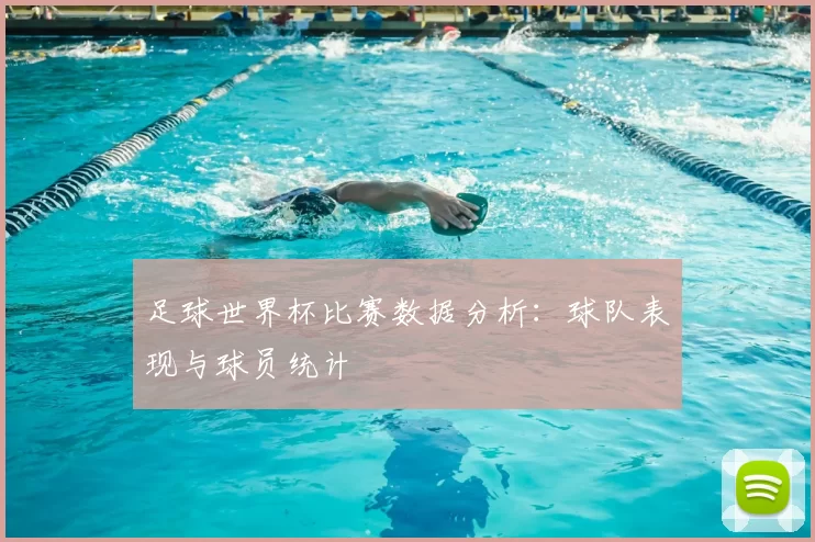 足球世界杯比赛数据分析:球队表现与球员统计