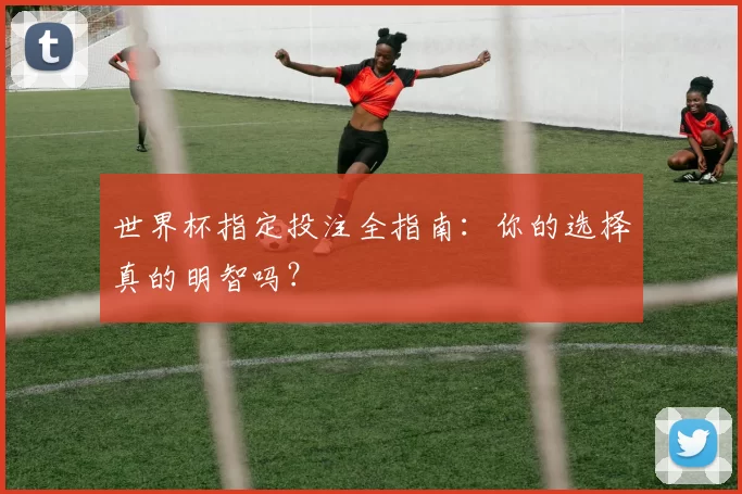 世界杯指定投注全指南:你的选择真的明智吗?