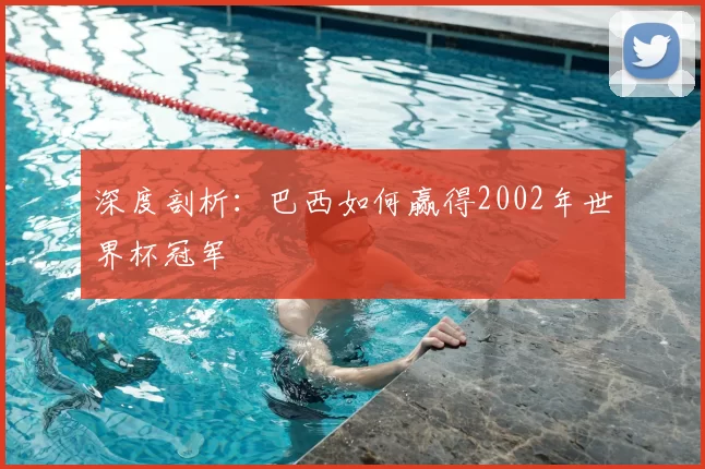 深度剖析:巴西如何赢得2002年世界杯冠军
