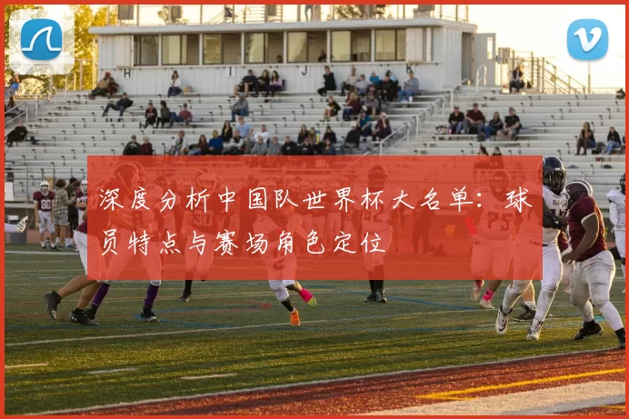 深度分析中国队世界杯大名单:球员特点与赛场角色定位