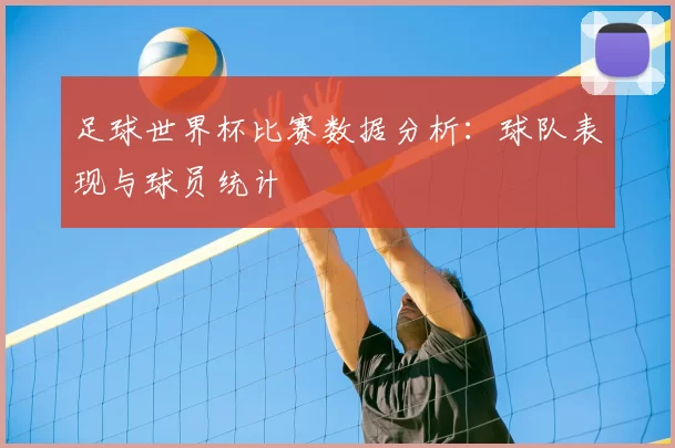 足球世界杯比赛数据分析:球队表现与球员统计