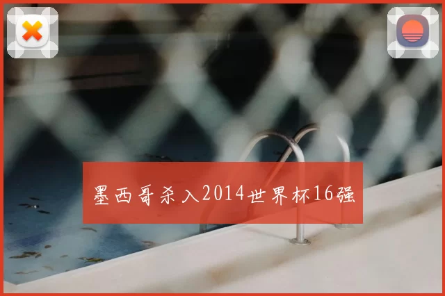 墨西哥杀入2014世界杯16强
